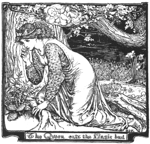 Illustration from The princess in the chest